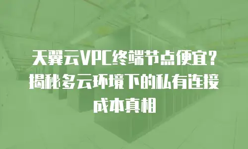 天翼云VPC终端节点便宜？揭秘多云环境下的私有连接成本真相
