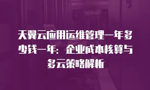 天翼云应用运维管理一年多少钱一年：企业成本核算与多云策略解析