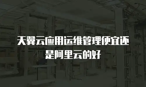 天翼云应用运维管理便宜还是阿里云的好