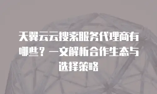 天翼云云搜索服务代理商有哪些？一文解析合作生态与选择策略