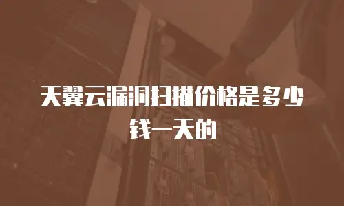 天翼云漏洞扫描价格是多少钱一天的