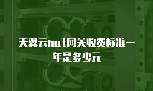 天翼云nat网关收费标准一年是多少元