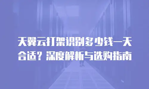 天翼云打架识别多少钱一天合适？深度解析与选购指南