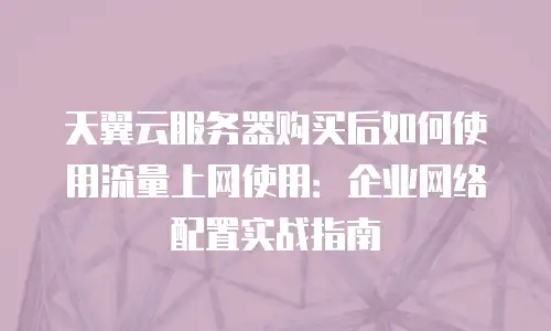 天翼云服务器购买后如何使用流量上网使用：企业网络配置实战指南