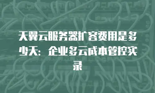 天翼云服务器扩容费用是多少天：企业多云成本管控实录