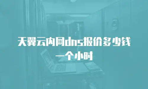 天翼云内网dns报价多少钱一个小时