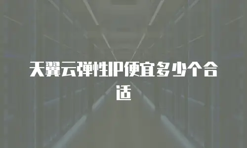 天翼云弹性IP便宜多少个合适