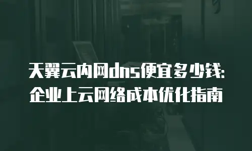天翼云内网dns便宜多少钱：企业上云网络成本优化指南