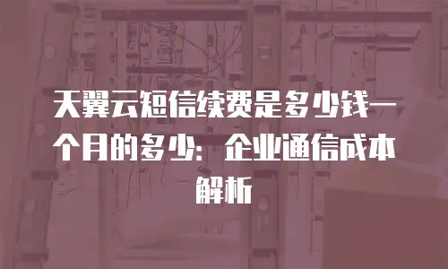 天翼云短信续费是多少钱一个月的多少：企业通信成本解析