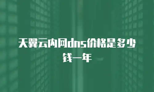 天翼云内网dns价格是多少钱一年