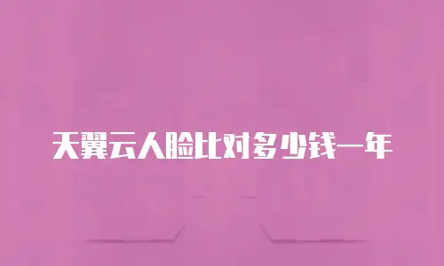 天翼云人脸比对多少钱一年