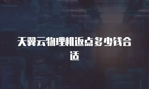 天翼云物理机返点多少钱合适