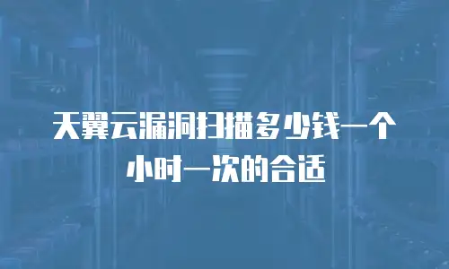 天翼云漏洞扫描多少钱一个小时一次的合适