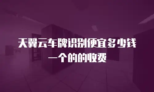 天翼云车牌识别便宜多少钱一个的的收费