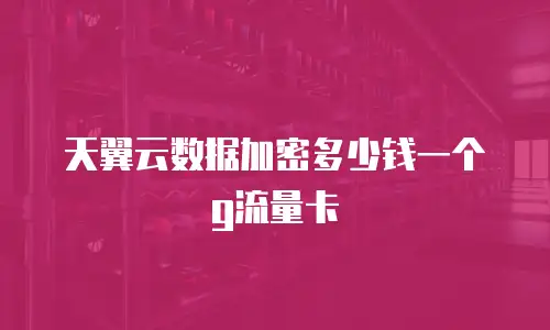 天翼云数据加密多少钱一个g流量卡