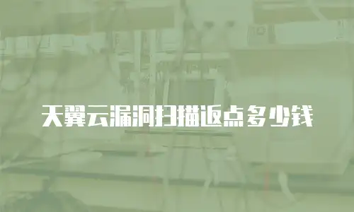 天翼云漏洞扫描返点多少钱