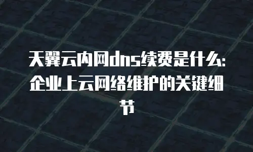 天翼云内网dns续费是什么：企业上云网络维护的关键细节