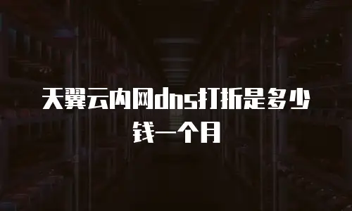 天翼云内网dns打折是多少钱一个月