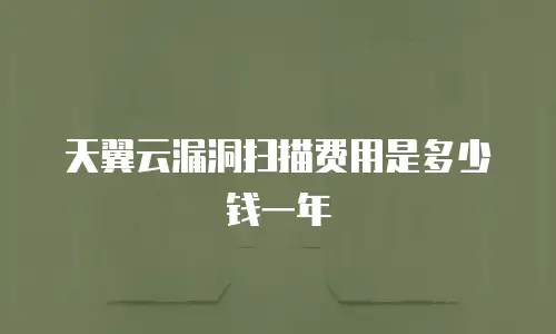 天翼云漏洞扫描费用是多少钱一年