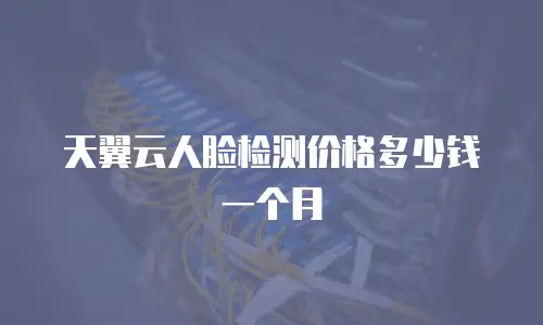 天翼云人脸检测价格多少钱一个月