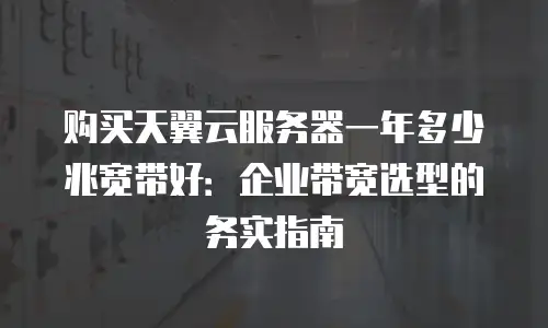 购买天翼云服务器一年多少兆宽带好：企业带宽选型的务实指南
