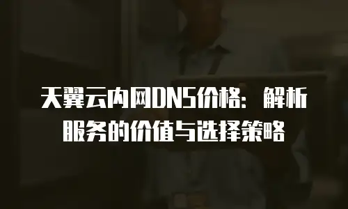 天翼云内网DNS价格：解析服务的价值与选择策略