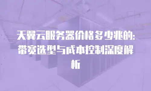 天翼云服务器价格多少兆的：带宽选型与成本控制深度解析