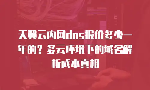 天翼云内网dns报价多少一年的？多云环境下的域名解析成本真相