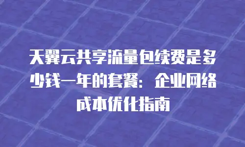 天翼云共享流量包续费是多少钱一年的套餐：企业网络成本优化指南