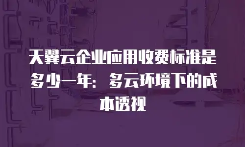 天翼云企业应用收费标准是多少一年：多云环境下的成本透视