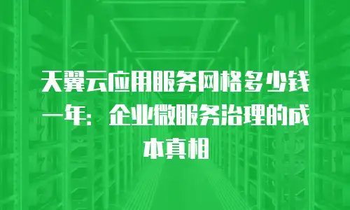 天翼云应用服务网格多少钱一年：企业微服务治理的成本真相