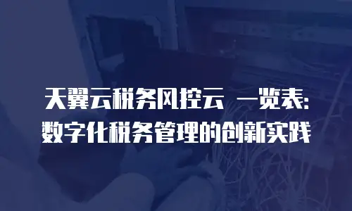 天翼云税务风控云 一览表：数字化税务管理的创新实践