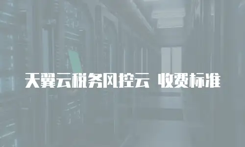 天翼云税务风控云 收费标准