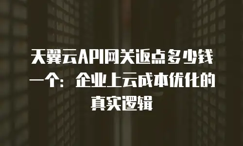 天翼云API网关返点多少钱一个：企业上云成本优化的真实逻辑