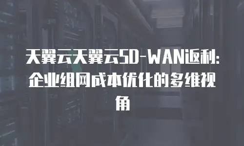 天翼云天翼云SD-WAN返利：企业组网成本优化的多维视角