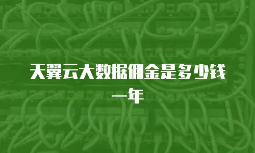 天翼云大数据佣金是多少钱一年
