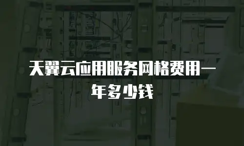 天翼云应用服务网格费用一年多少钱