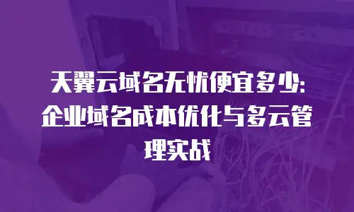 天翼云域名无忧便宜多少：企业域名成本优化与多云管理实战