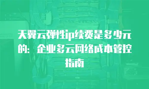 天翼云弹性ip续费是多少元的：企业多云网络成本管控指南