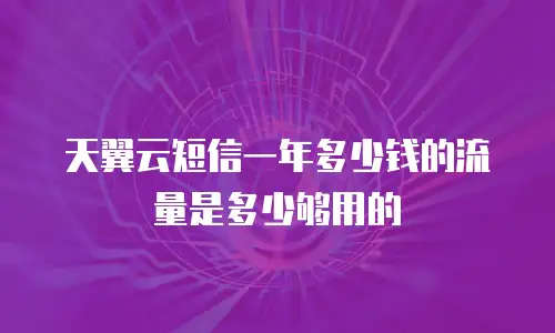 天翼云短信一年多少钱的流量是多少够用的