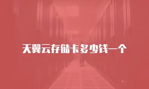 天翼云存储卡多少钱一个