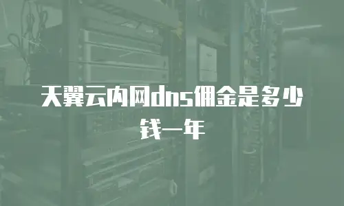 天翼云内网dns佣金是多少钱一年