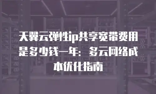 天翼云弹性ip共享宽带费用是多少钱一年：多云网络成本优化指南