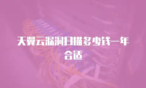 天翼云漏洞扫描多少钱一年合适