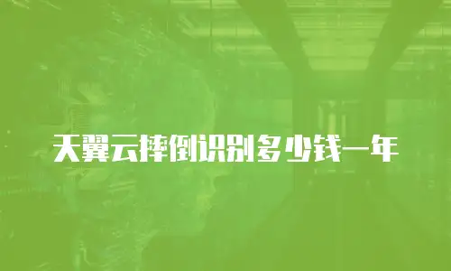 天翼云摔倒识别多少钱一年