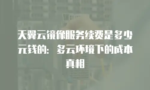 天翼云镜像服务续费是多少元钱的：多云环境下的成本真相