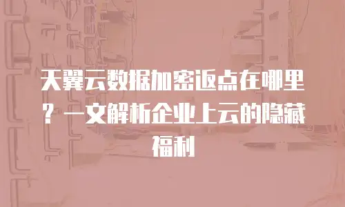 天翼云数据加密返点在哪里？一文解析企业上云的隐藏福利