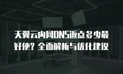 天翼云内网DNS返点多少最好使？全面解析与优化建议