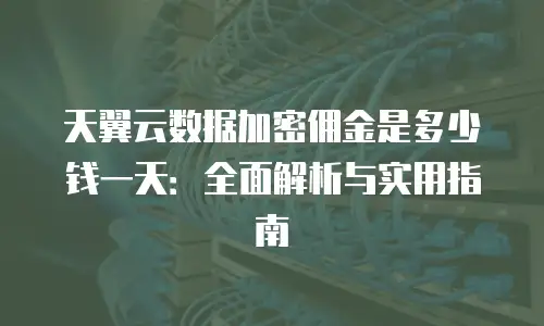 天翼云数据加密佣金是多少钱一天：全面解析与实用指南