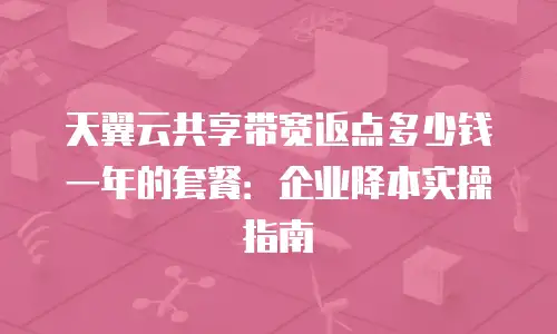 天翼云共享带宽返点多少钱一年的套餐：企业降本实操指南